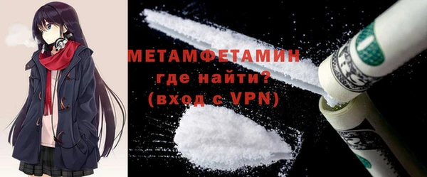 шишки Няндома