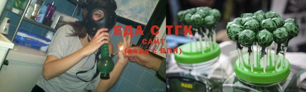 шишки Няндома