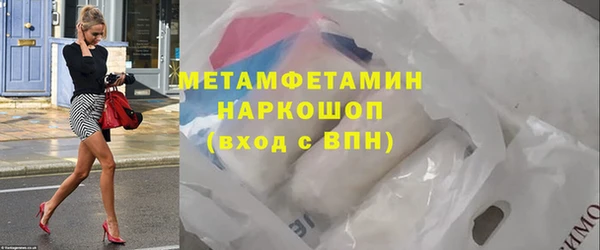 шишки Няндома