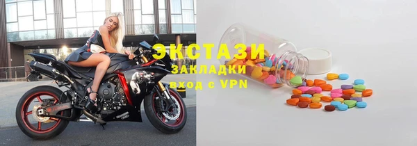 шишки Няндома