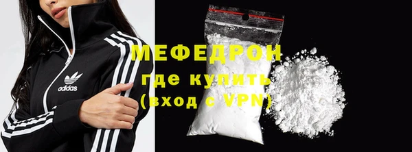 шишки Няндома