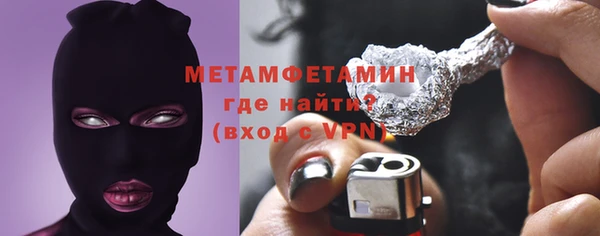 шишки Няндома