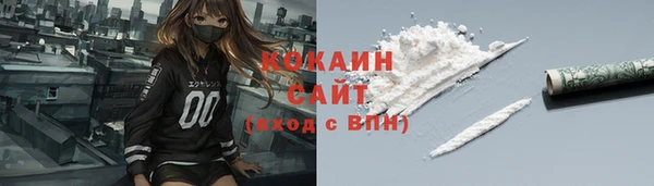 шишки Няндома