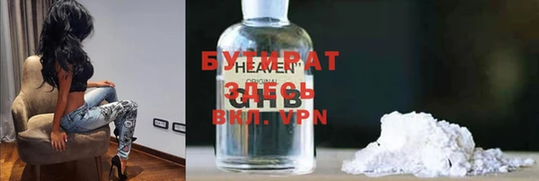шишки Няндома