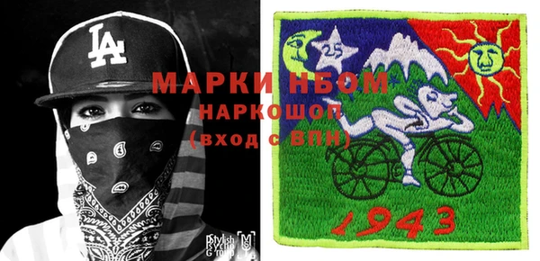шишки Няндома
