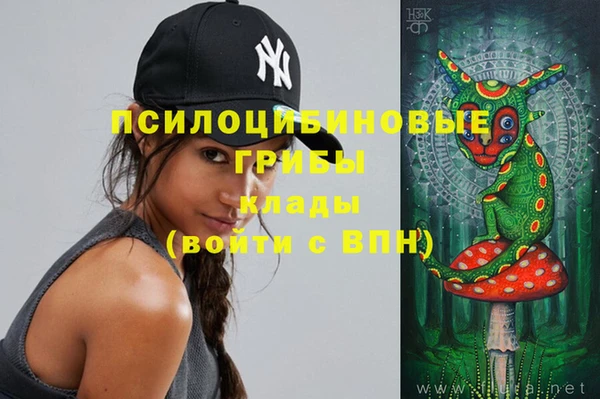 шишки Няндома