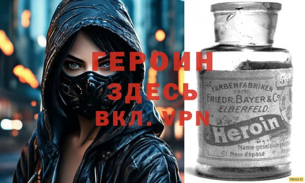 шишки Няндома