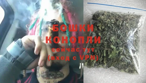 шишки Няндома