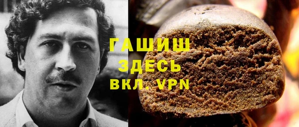 шишки Няндома