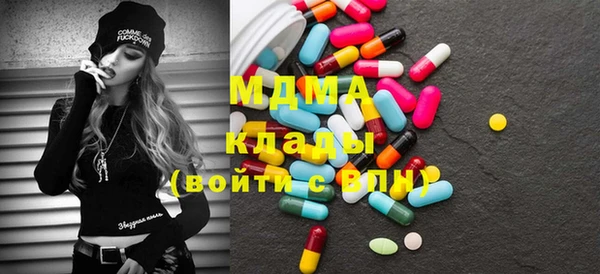 шишки Няндома
