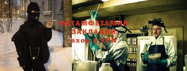 шишки Няндома