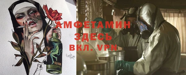 шишки Няндома