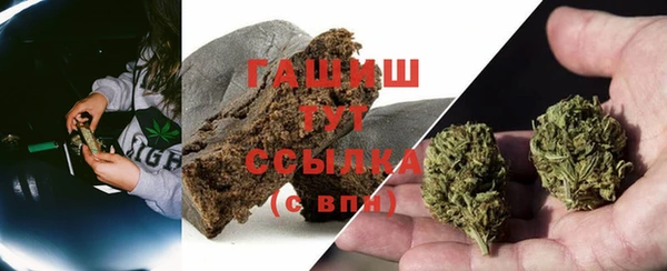 шишки Няндома
