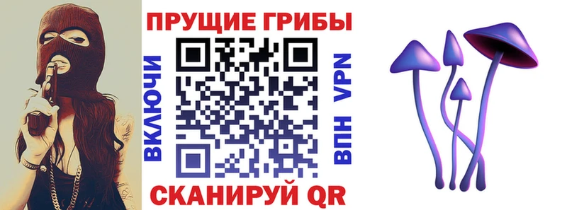 Купить где  Лабинск  Псилоцибиновые грибы Psilocybe 